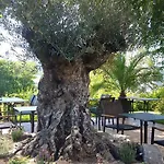 Vitalhotel Koenig Am Park Otel Bad Mergentheim