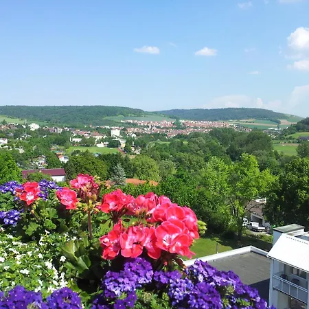Hotel Vitalhotel Koenig Am Park Bad Mergentheim