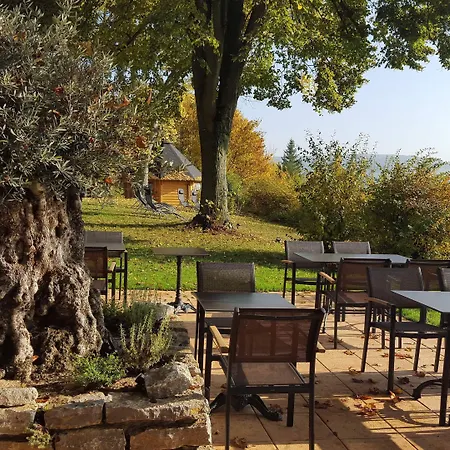 Vitalhotel Koenig Am Park Отель