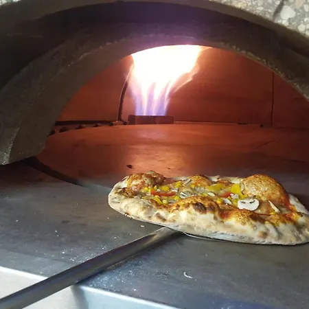 Hotel Vitalhotel Koenig Am Park