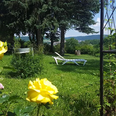 Vitalhotel Koenig Am Park Bad Mergentheim