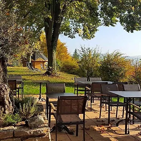 Vitalhotel Koenig Am Park Bad Mergentheim