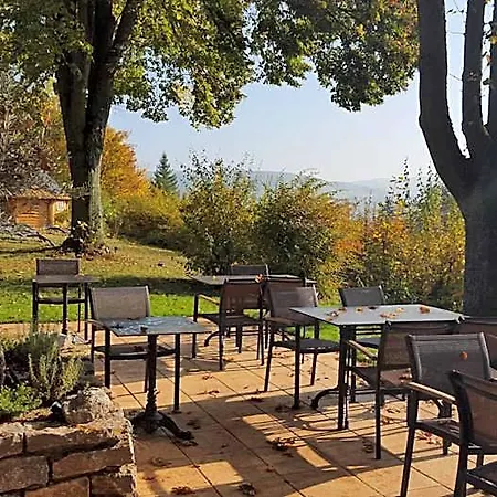 Hotel Vitalhotel Koenig Am Park
