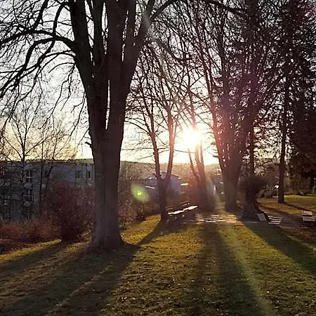 Hotel Vitalhotel Koenig Am Park 3*