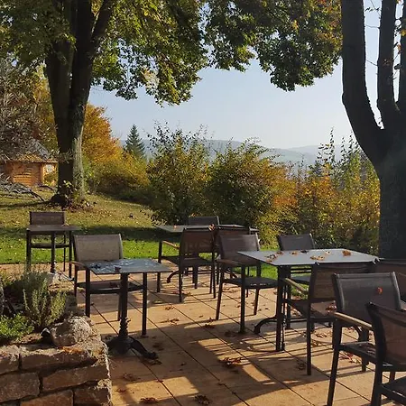 Vitalhotel Koenig Am Park Отель