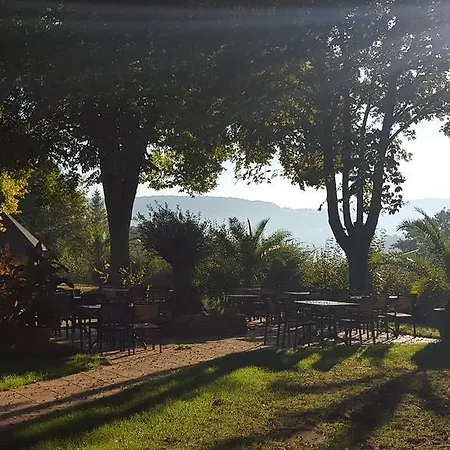 Hotel Vitalhotel Koenig Am Park