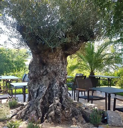 Vitalhotel Koenig Am Park Hotel Bad Mergentheim