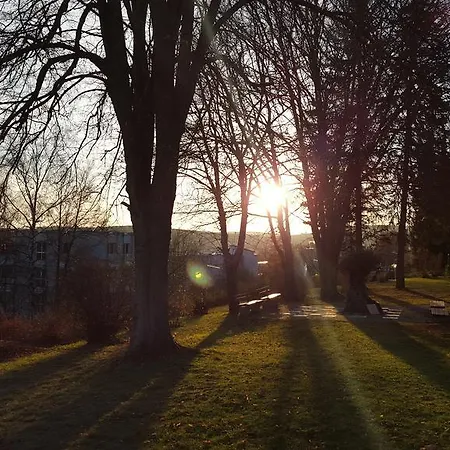 Vitalhotel Koenig Am Park 3*