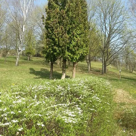 Vitalhotel Koenig Am Park