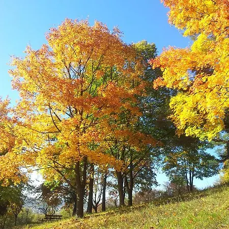 Hotel Vitalhotel Koenig Am Park Bad Mergentheim