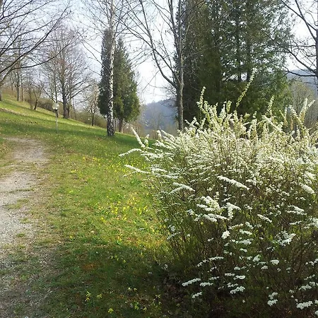 Vitalhotel Koenig Am Park Отель