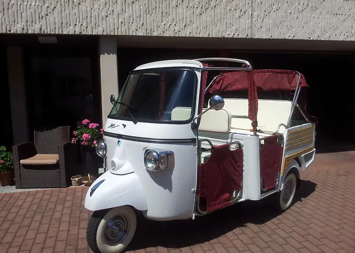 Vitalhotel Koenig Am Park バート・メルゲントハイム