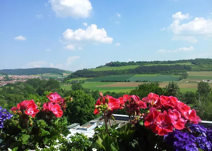 ホテル Vitalhotel Koenig Am Park