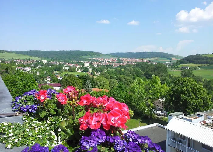 ホテル Vitalhotel Koenig Am Park バート・メルゲントハイム