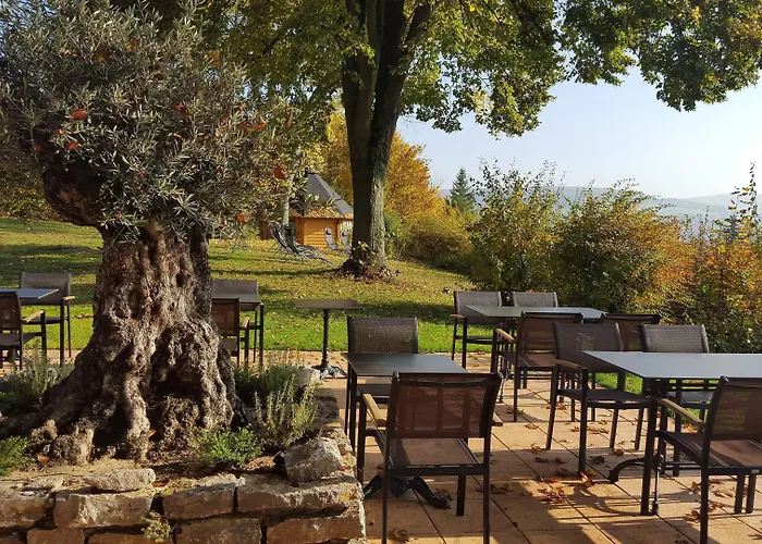 Vitalhotel Koenig Am Park ホテル