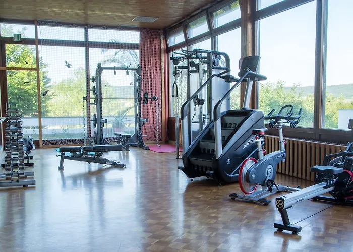 Vitalhotel Koenig Am Park ホテル バート・メルゲントハイム