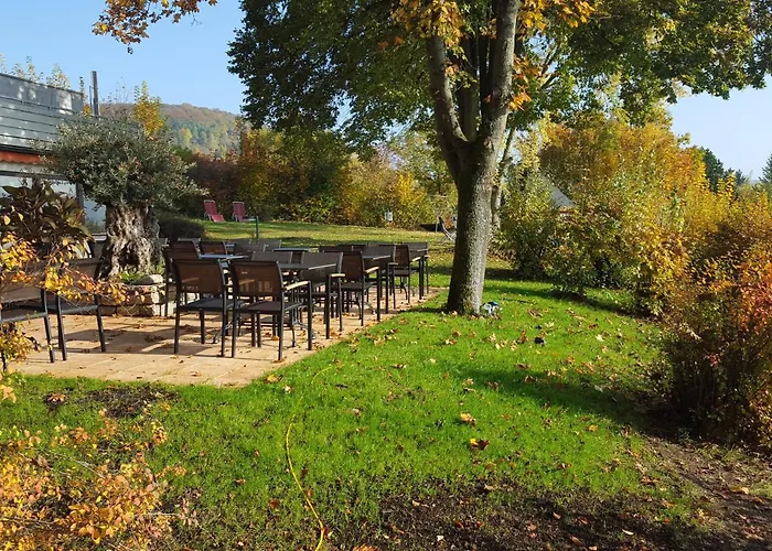 Vitalhotel Koenig Am Park ホテル 3*