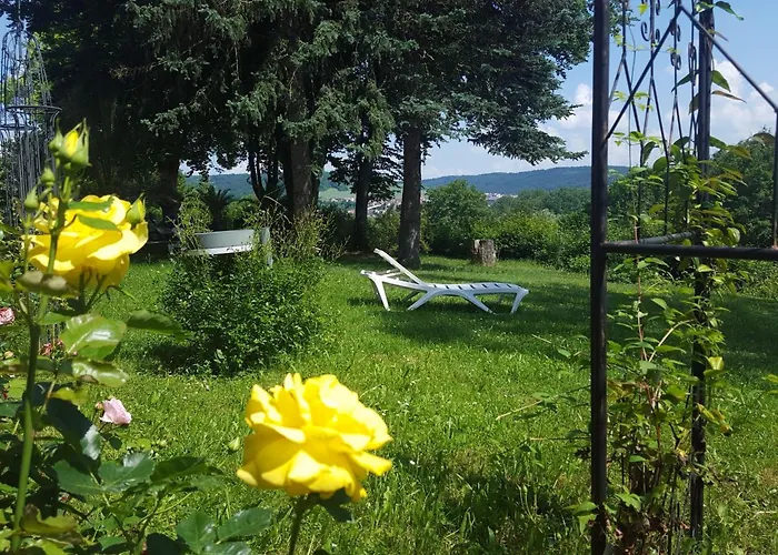 Vitalhotel Koenig Am Park バート・メルゲントハイム