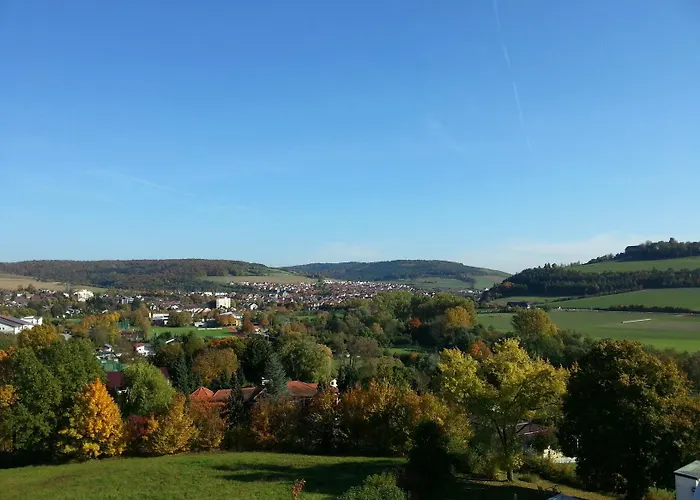 ホテル Vitalhotel Koenig Am Park バート・メルゲントハイム