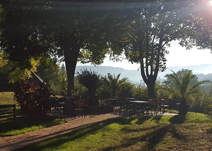 ホテル Vitalhotel Koenig Am Park