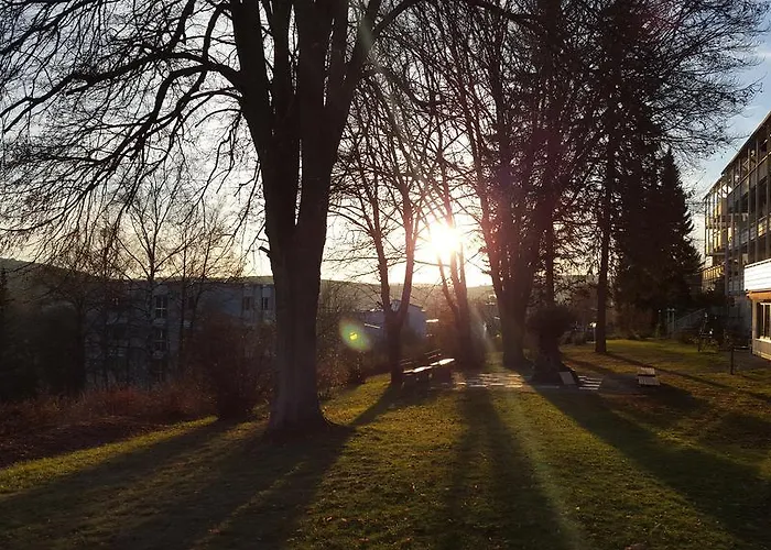 Vitalhotel Koenig Am Park 3*