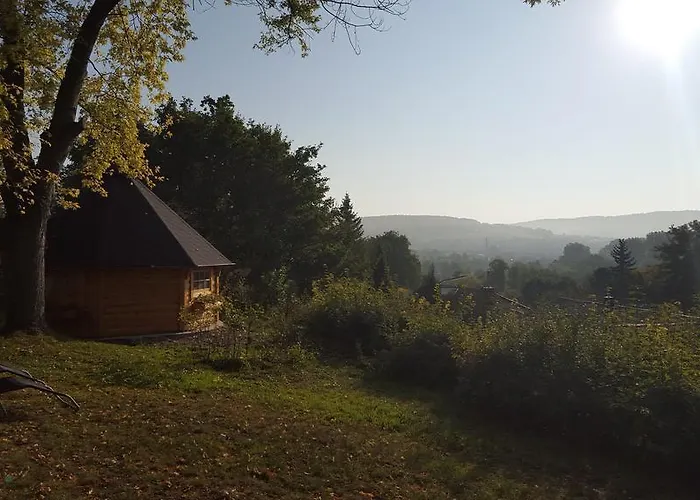 Vitalhotel Koenig Am Park ホテル バート・メルゲントハイム