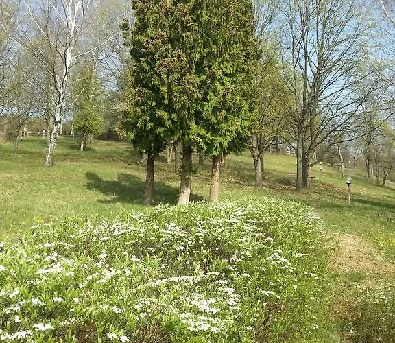 Vitalhotel Koenig Am Park