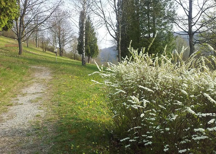 Vitalhotel Koenig Am Park ホテル