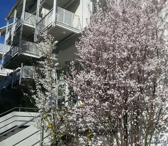 Vitalhotel Koenig Am Park